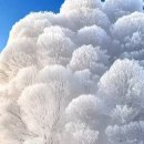 우리 동네 이야기 31 이미지