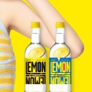 (주)레몬 이미지