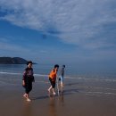 신안자연휴양림 이미지