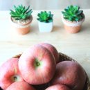 선바위농원 이미지