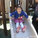 영주암유치원 이미지