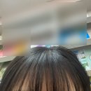 와삭아이스크림 이미지