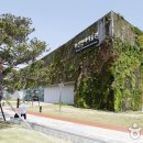 사하구 낙동남로1233번길 이미지