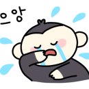 점프윙스 이천점 이미지