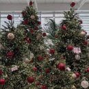 알지니포레스트 | (용인 -기흥) 12월 크리스마스 의 끝판왕 대형카페 포레스트아웃팅스 후기