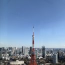 2023-01-0001 - 938충청남도 서산시 | [5박6일 도쿄여행] Day3 스키야키맛집 이마한 먹고, 아자부다이힐스, 34층 스카이룸 도쿄타워 전망대