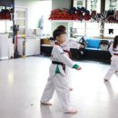 훌륭한 태권도 이미지