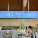산록남로입구 | 제주도 말 보기 좋은 곳, 성이시돌목장 + 우유부단 내돈내산 후기