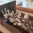 이성욱농장 이미지