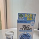 다이소신상 유산균 추천, 유한양행 생유산균 초소형캡슐/츄어블