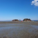 해송향기펜션 이미지