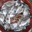 바다풍경펜션 이미지