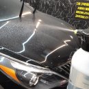 로얄게러지 이미지