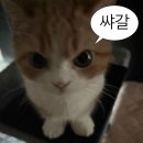 디킴 | 2학기 결산_ 근데 기말을 곁들인