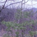 마지농원 이미지