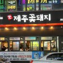 제주꽃돼지 티스토리