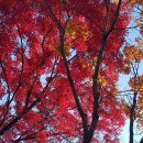 강변길 북천 이미지