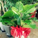 글나라어린이집 이미지