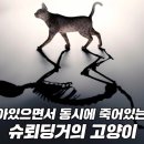 조커컴퓨터 이미지