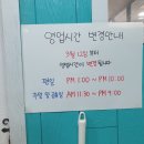 미어캣인더시티 이미지