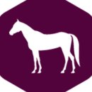 엑셀로이콰인알앤디쎈터 네이버블로그