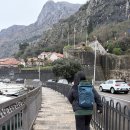 터미널게임랜드 | D+60 | 페라스트 암굴의성모 + 코토르 요새 무료등반후기 | 코토르, 몬테네그로🇲🇪