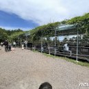 수천목장 이미지