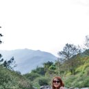 묘솔캠핑장 이미지