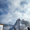 197차 2024년1월27일(넷째주토요일) 백아산(白鵝山.810m) 정기산행 이미지