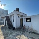 오동동203 이미지