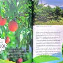 민정농장 이미지