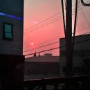 가을#1 ㅣ 명절연휴 주말 대전 성심당 당일치기: 케익부띠끄, 진로집, 성심당 본점, 장인 더 약과 / 일상