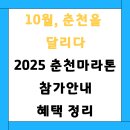 2025 춘천마라톤 참가자 필독 정보, 신청방법부터 기념품까지, 25년 마라톤 일정, 한국 3대 마라톤...