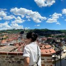 평화경복궁마트 | 🇨🇿 Czech #2_ 체스키 크롬로프 당일치기 여행코스 • 장미 축제 / 프라하 스비치코바 맛집