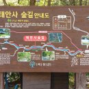 봉두산 이미지
