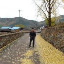 퇴로리 용현정사 이미지