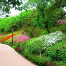 “39만 평 자연휴양림 드디어 재개된다”... 숲속의 집·야영장·수목원 모두 갖춘 가족 나들이 명소 이미지