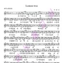 Lemon tree - 박혜경,최신발라드인기곡,무료악보,노래방,노래듣기,노래강좌,최신트로트인기곡,노래배우기,주부교실,노래교실,중년가요,OST노래 이미지