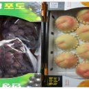 당골농원 이미지