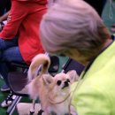 히든밸리켄넬 이미지