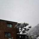 갈기산 포레스트 힐 이미지