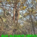 윈풀 이미지
