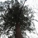 길상사입구 이미지