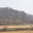 DMZ 평화의 길 11코스 이미지