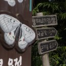 일산자두골마을 이미지