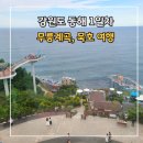 반석목장 | [강원도 동해 1박 2일] 여행 1일차 _ 무릉일가, 무릉 계곡, 도째비골 스카이밸리, 묵호 등대, 해랑...