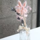 더봄 이미지