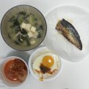 민티아 오이오차녹차 멘쯔유 직구 후기