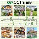 GS25당진합덕점 | 충남 당진 당일치기 여행 코스, 맛집 카페 가볼만한 곳 추천