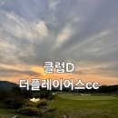 플레이어스 | 코스는 재밌는데 잔디는 파3같은 클럽D 더플레이어스cc 후기